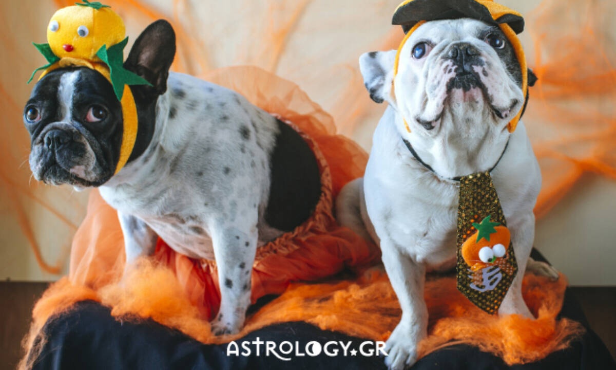 Τα 4 ζώδια που μισούν τις Απόκριες