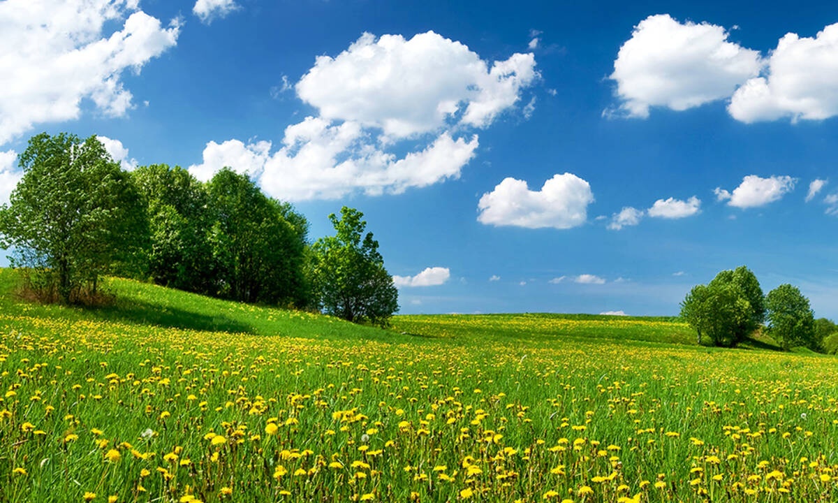 Τι λένε τα άστρα για τον Μάρτιο 2020;