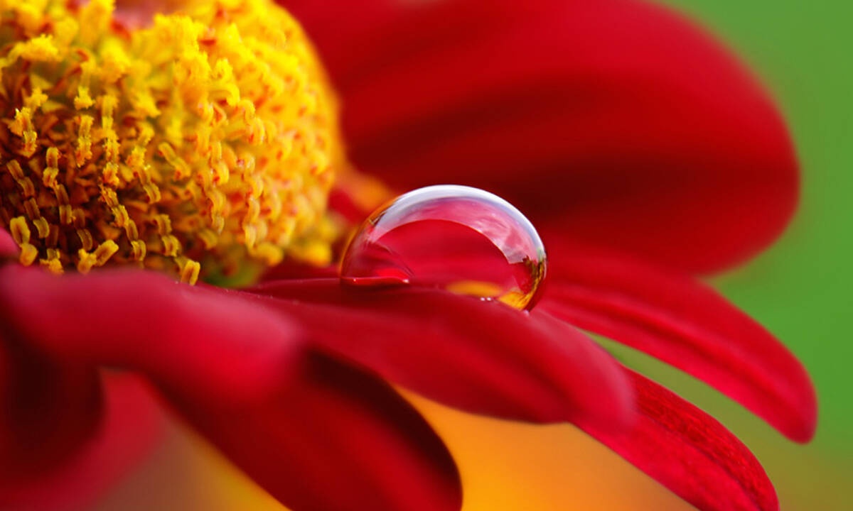 Διάβασε ΔΩΡΕΑΝ την προσωπική σου πρόβλεψη, για σήμερα 01/03/2020