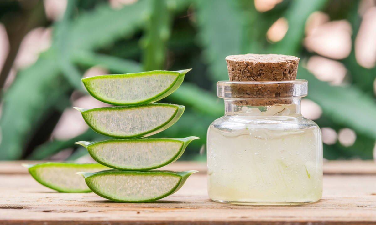 Αλόη: Τα οφέλη της για τα δόντια και τα ούλα (εικόνες)