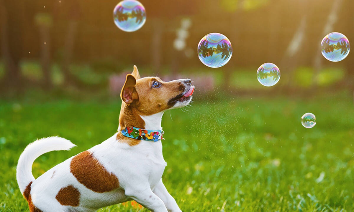 Διάβασε ΔΩΡΕΑΝ την προσωπική σου πρόβλεψη, για σήμερα 05/03/2020