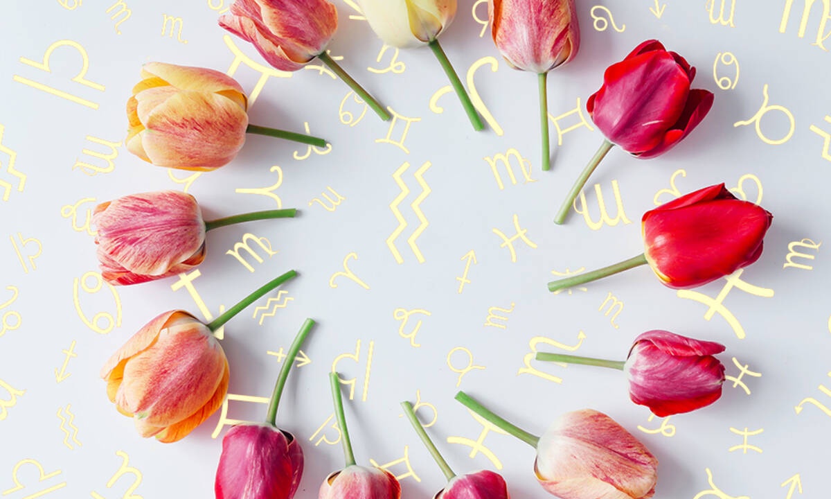 Εβδομαδιαίες προβλέψεις 08/03 – 14/03: Μάθε να ελίσσεσαι!