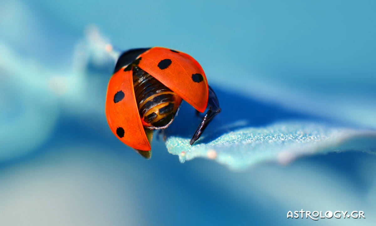 Διάβασε ΔΩΡΕΑΝ την προσωπική σου πρόβλεψη, σήμερα 11/03/2020