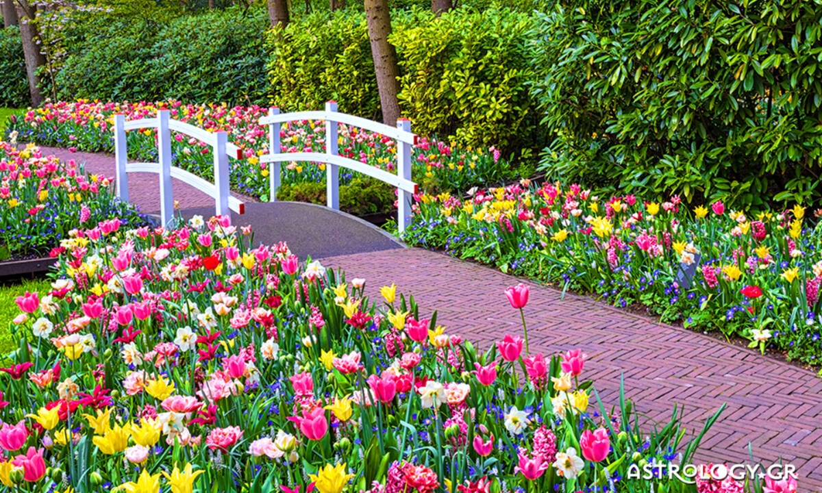 Διάβασε ΔΩΡΕΑΝ την προσωπική σου πρόβλεψη, σήμερα 20/03/2020