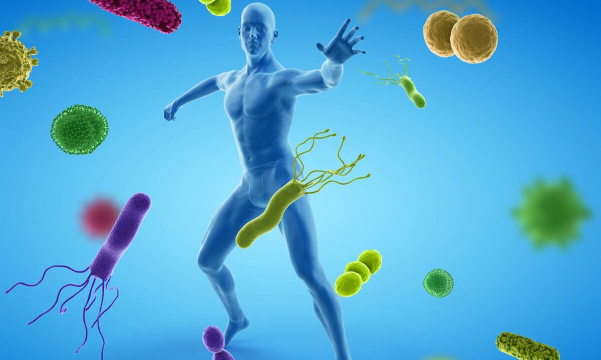 Κορονοϊός: Τα 5 καλύτερα βότανα και μπαχαρικά για το ανοσοποιητικό (εικόνες)