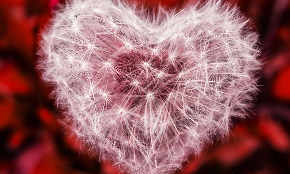 Προβλέψεις για τα αισθηματικά του ζωδίου σου, σήμερα 25/03