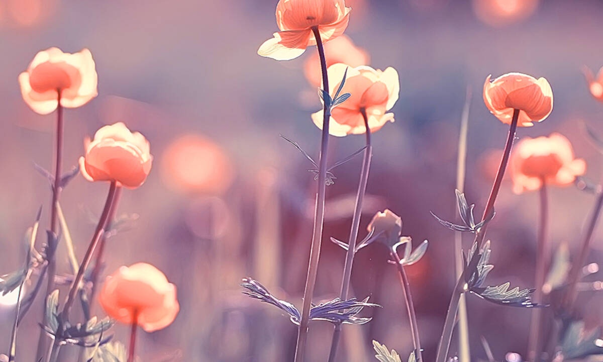 Διάβασε ΔΩΡΕΑΝ την προσωπική σου πρόβλεψη, για σήμερα 03/04/2020