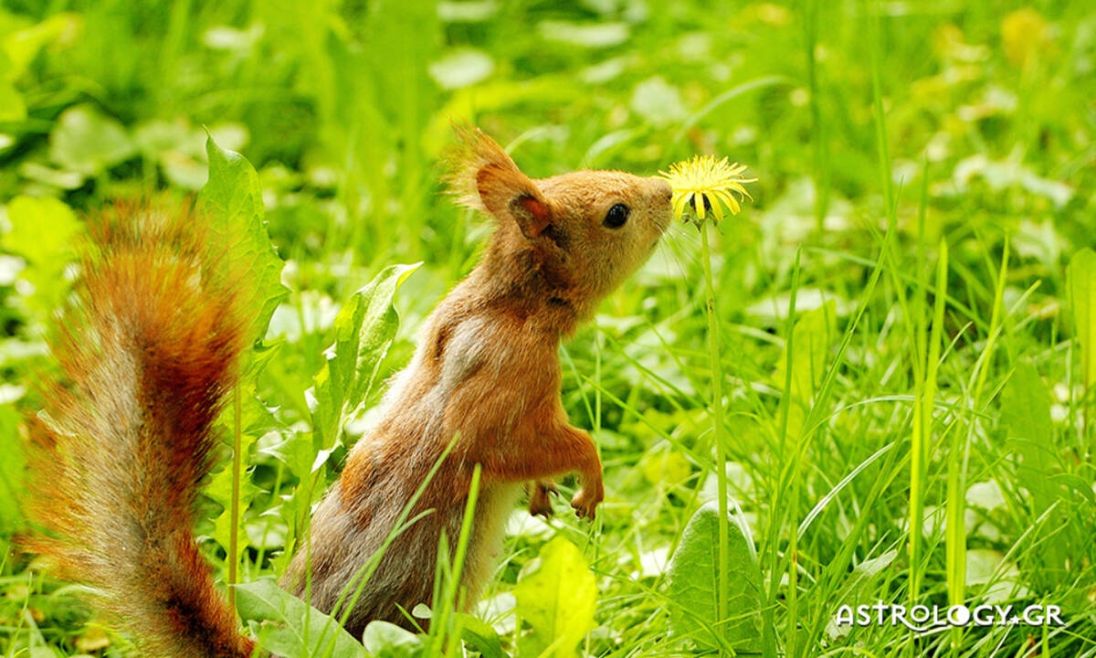 Διάβασε ΔΩΡΕΑΝ την προσωπική σου πρόβλεψη, για σήμερα 04/04/2020