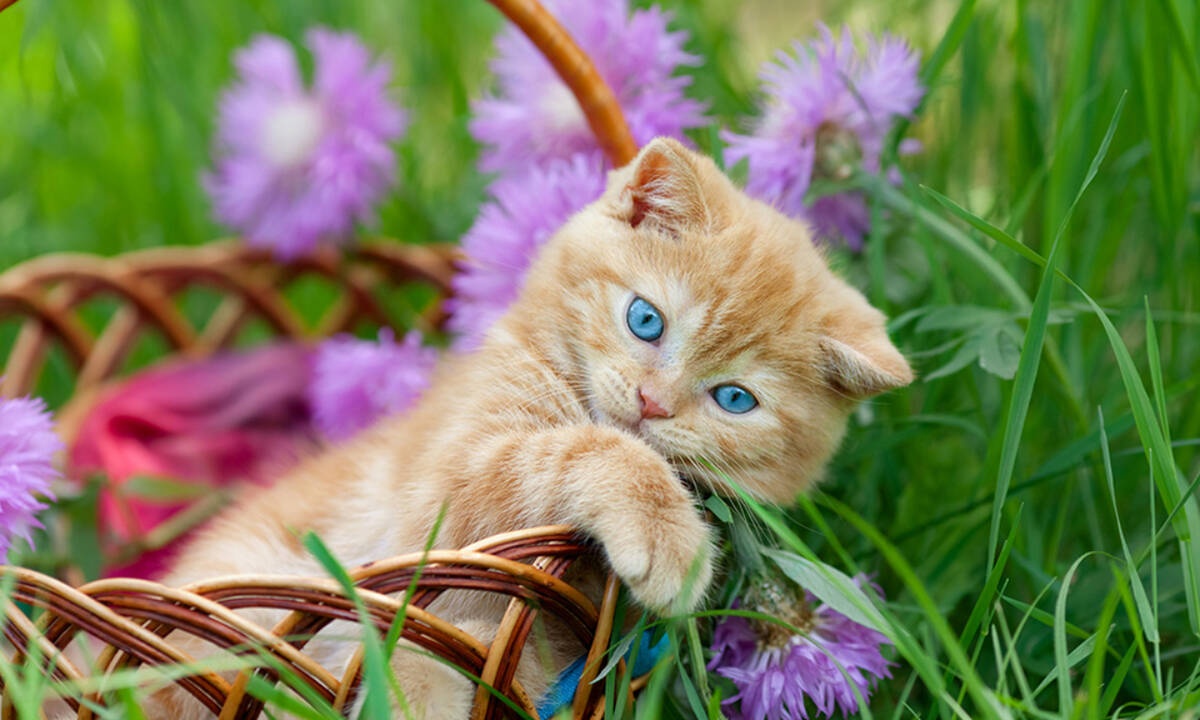 Διάβασε ΔΩΡΕΑΝ την προσωπική σου πρόβλεψη, για σήμερα 06/04/2020