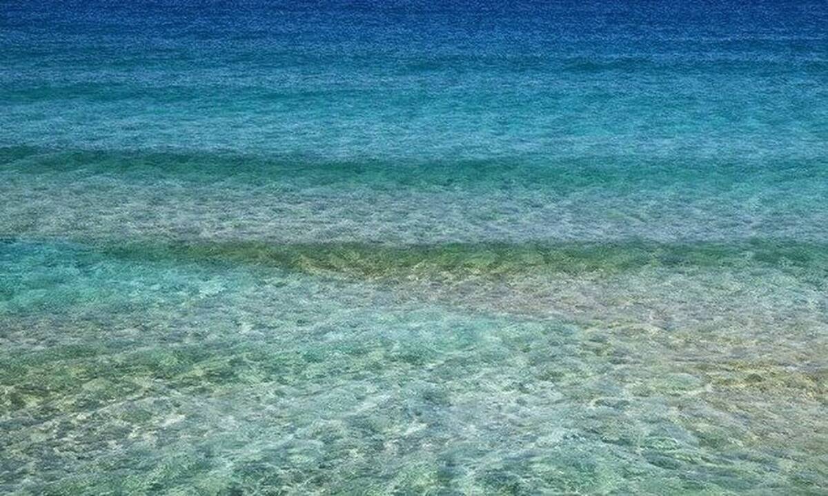 Κορονοϊός: Σάλος - Υπουργός έσπασε την καραντίνα και πήγε για μπάνιο - Ποιος είναι