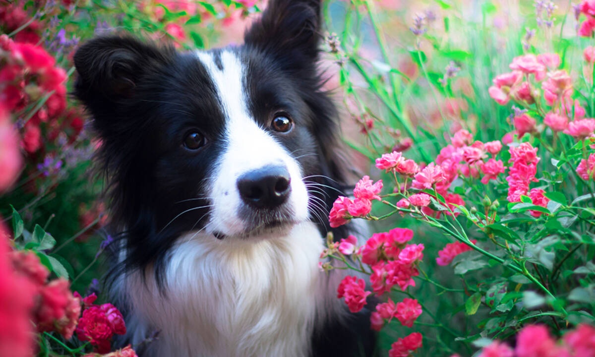 Διάβασε ΔΩΡΕΑΝ την προσωπική σου πρόβλεψη, για σήμερα 10/04/2020