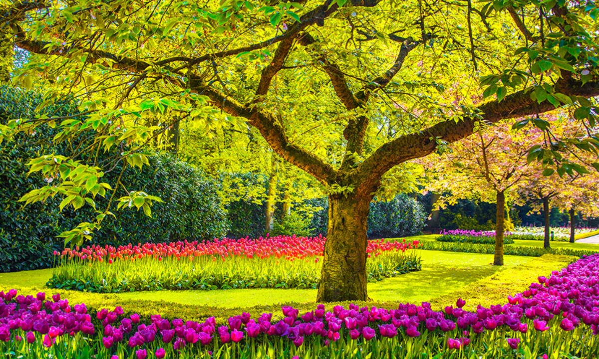 Ημερήσιες Προβλέψεις για όλα τα Ζώδια 11/04