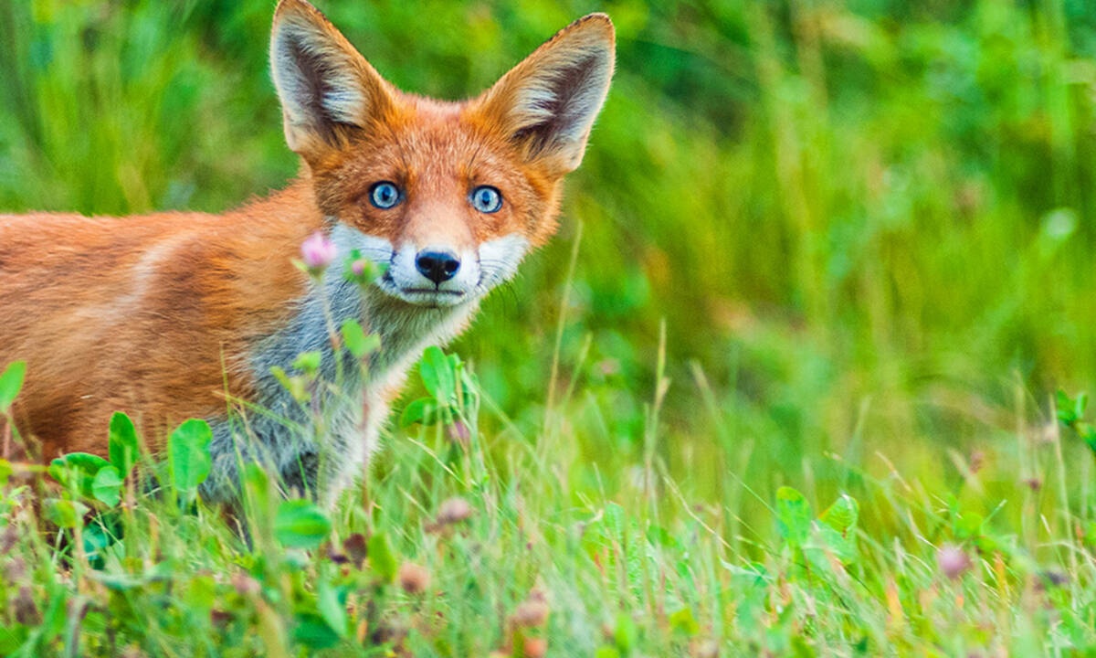 Διάβασε ΔΩΡΕΑΝ την προσωπική σου πρόβλεψη, για σήμερα 11/04/2020