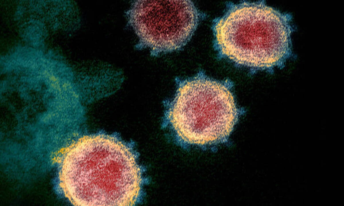 Ανοσία στον κορωνοϊό: Μια περίπλοκη υπόθεση