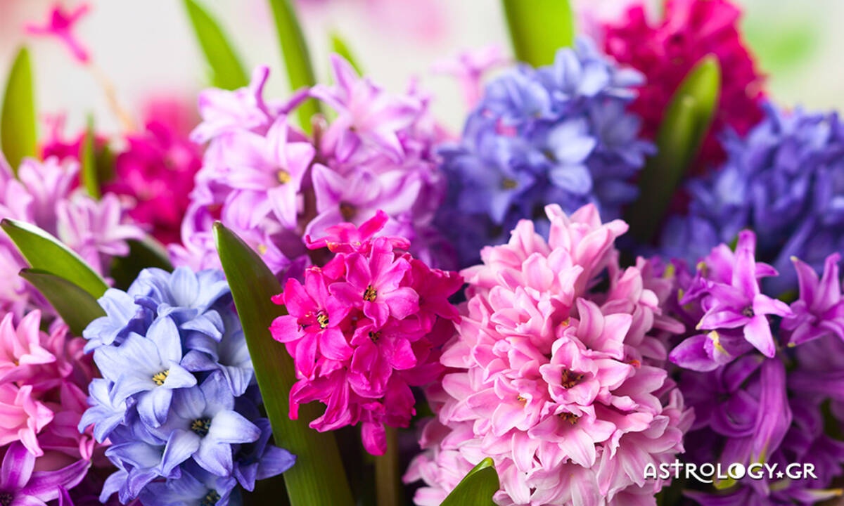 Ημερήσιες Προβλέψεις για όλα τα Ζώδια 21/04