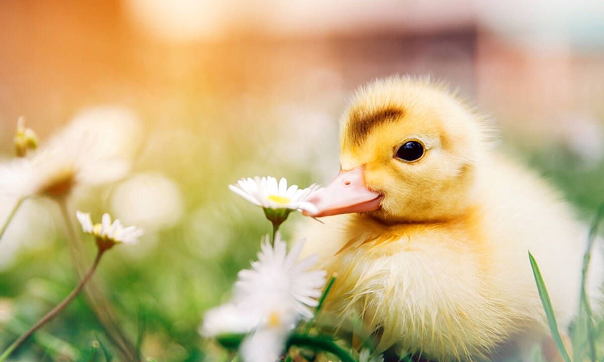 Διάβασε ΔΩΡΕΑΝ την προσωπική σου πρόβλεψη, για σήμερα 18/04/2020