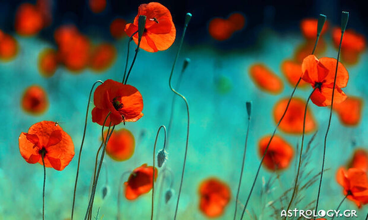 Διάβασε ΔΩΡΕΑΝ την προσωπική σου πρόβλεψη, για σήμερα 19/04/2020