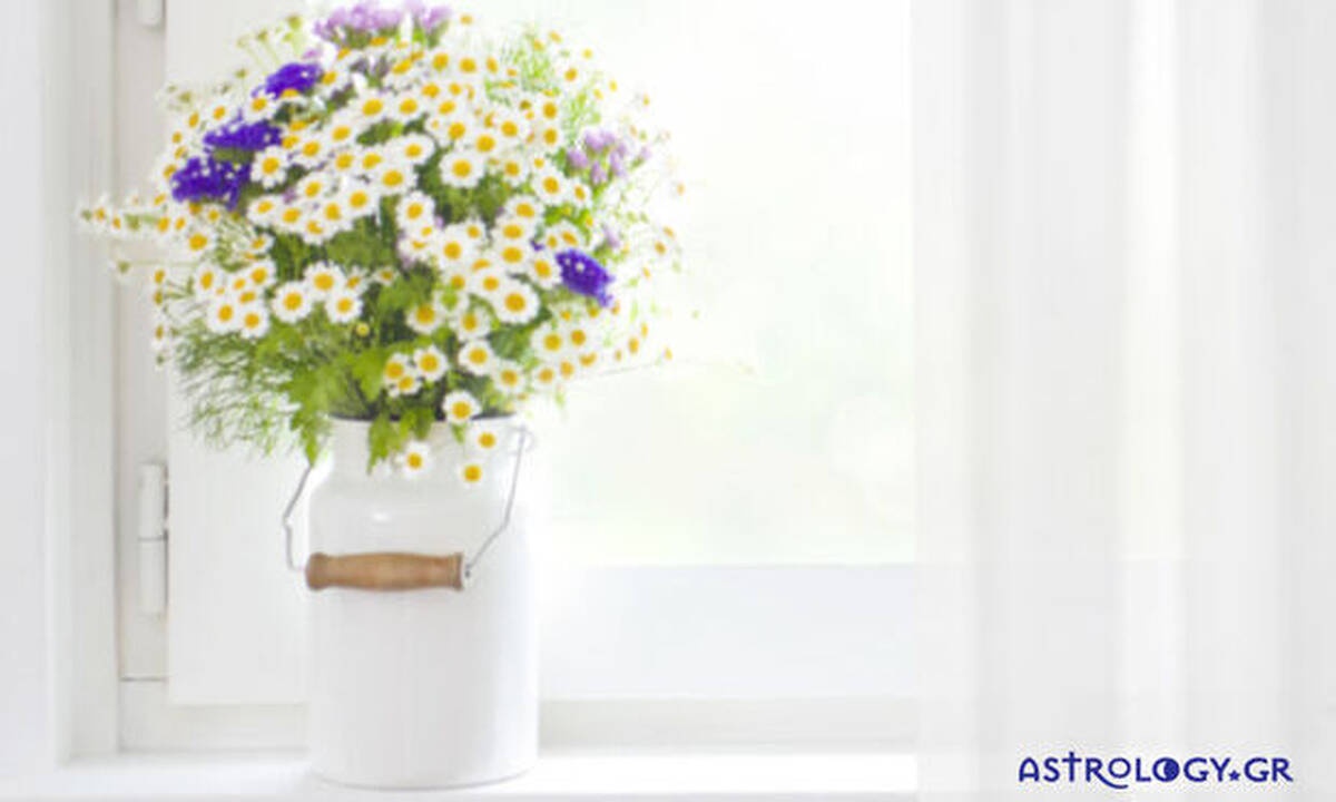 Ημερήσιες Προβλέψεις για όλα τα Ζώδια 23/04