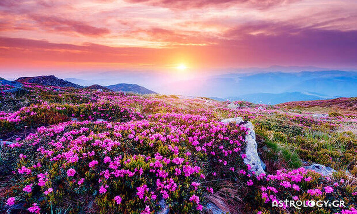 Ημερήσιες Προβλέψεις για όλα τα Ζώδια 24/04