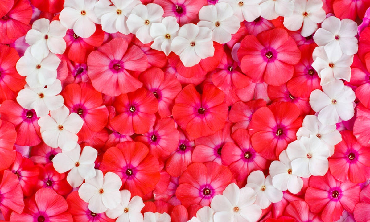 Εβδομαδιαίες Ερωτικές Προβλέψεις 27/04-03/05: Σκληρές αλήθειες και όμορφα ψέματα!