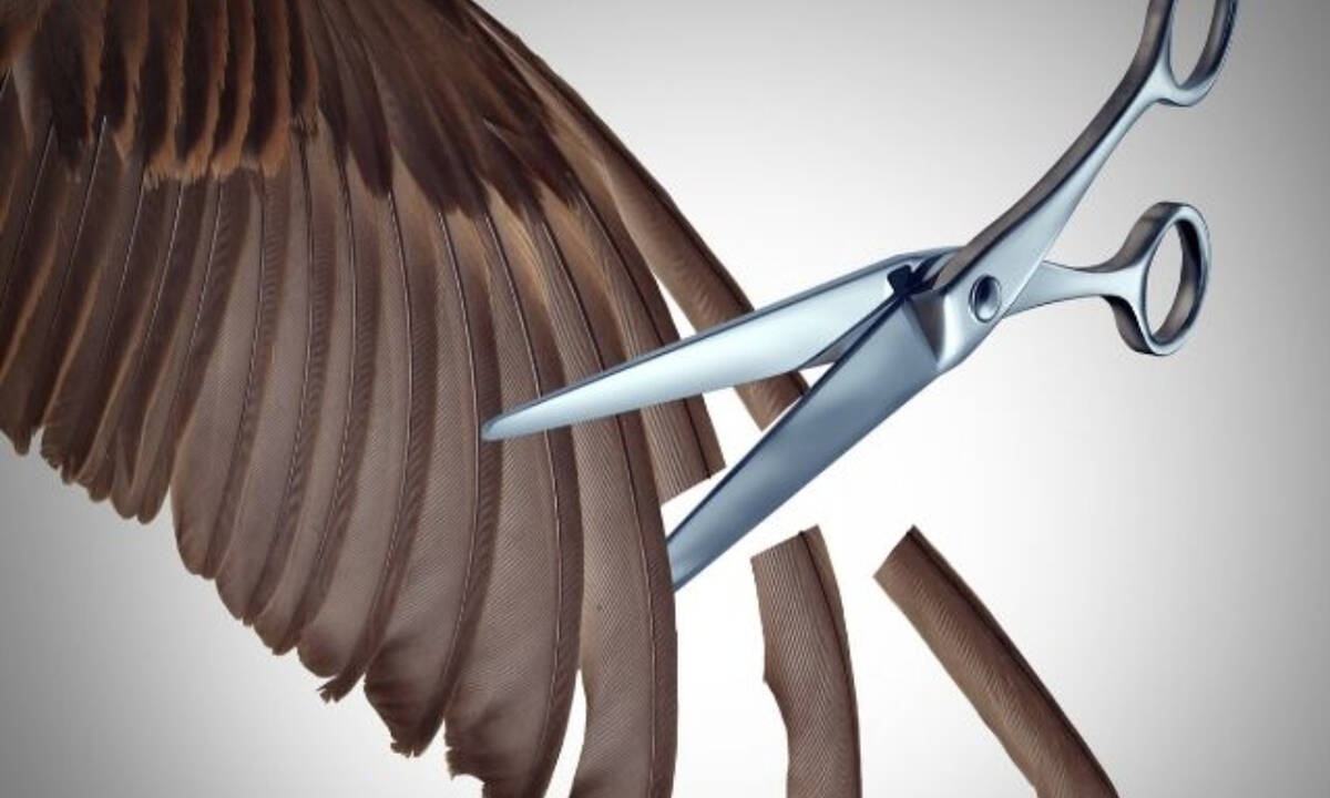 Σήμερα 28/04: Αναγκαστικές επιλογές και περιορισμοί