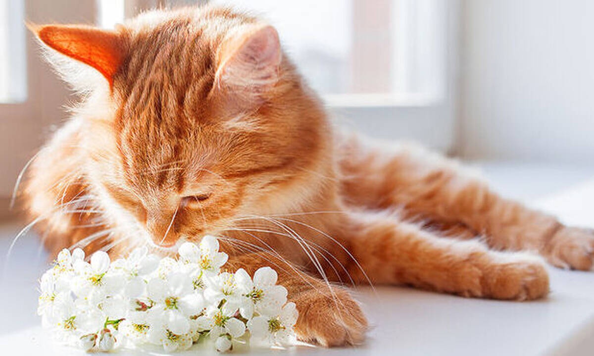 Διάβασε ΔΩΡΕΑΝ την προσωπική σου πρόβλεψη, για σήμερα 28/04/2020