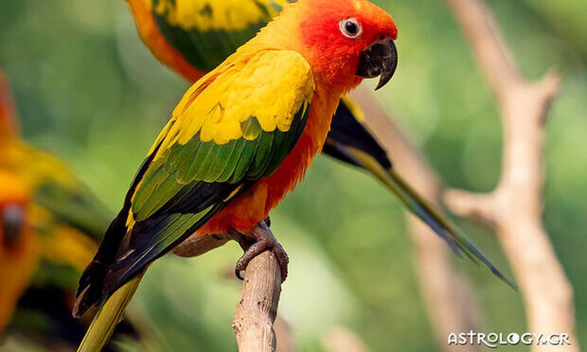 Διάβασε ΔΩΡΕΑΝ την προσωπική σου πρόβλεψη, για σήμερα 29/04/2020