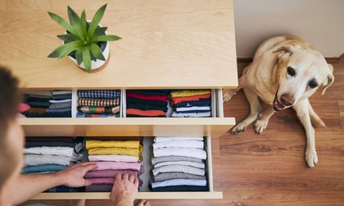 Σήμερα 02/05: Όλα οργανωμένα και τακτοποιημένα