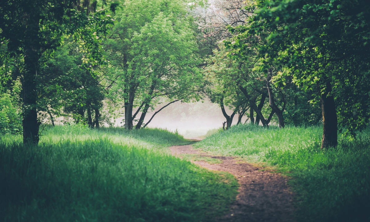 Το πράσινο αποτρέπει τους πρόωρους θανάτους - Δείτε πόσο (έρευνα)