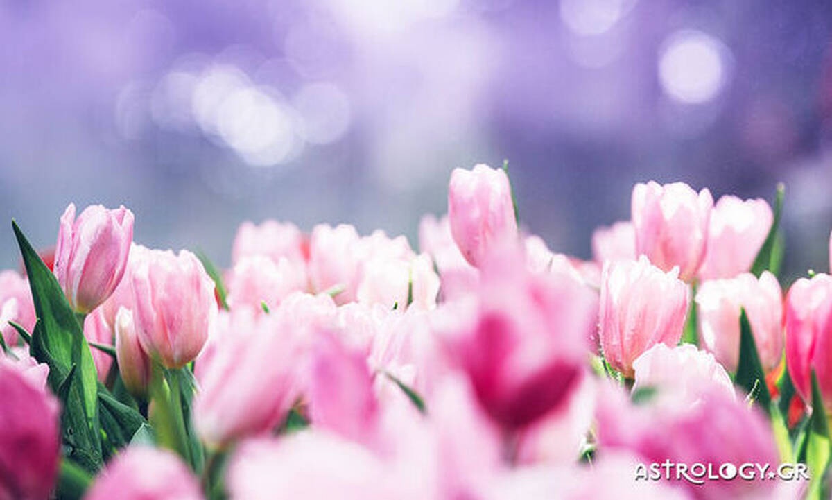 Διάβασε ΔΩΡΕΑΝ την προσωπική σου πρόβλεψη, για σήμερα 30/04/2020