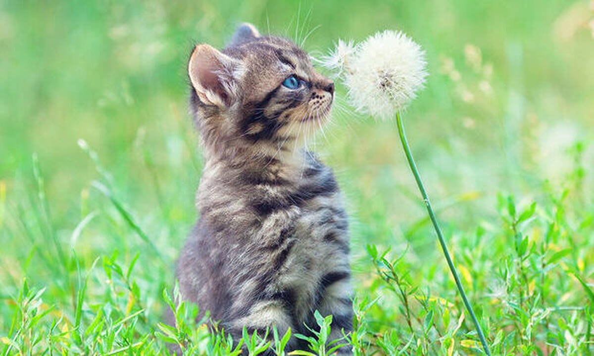 Διάβασε ΔΩΡΕΑΝ την προσωπική σου πρόβλεψη, για σήμερα 03/05/2020