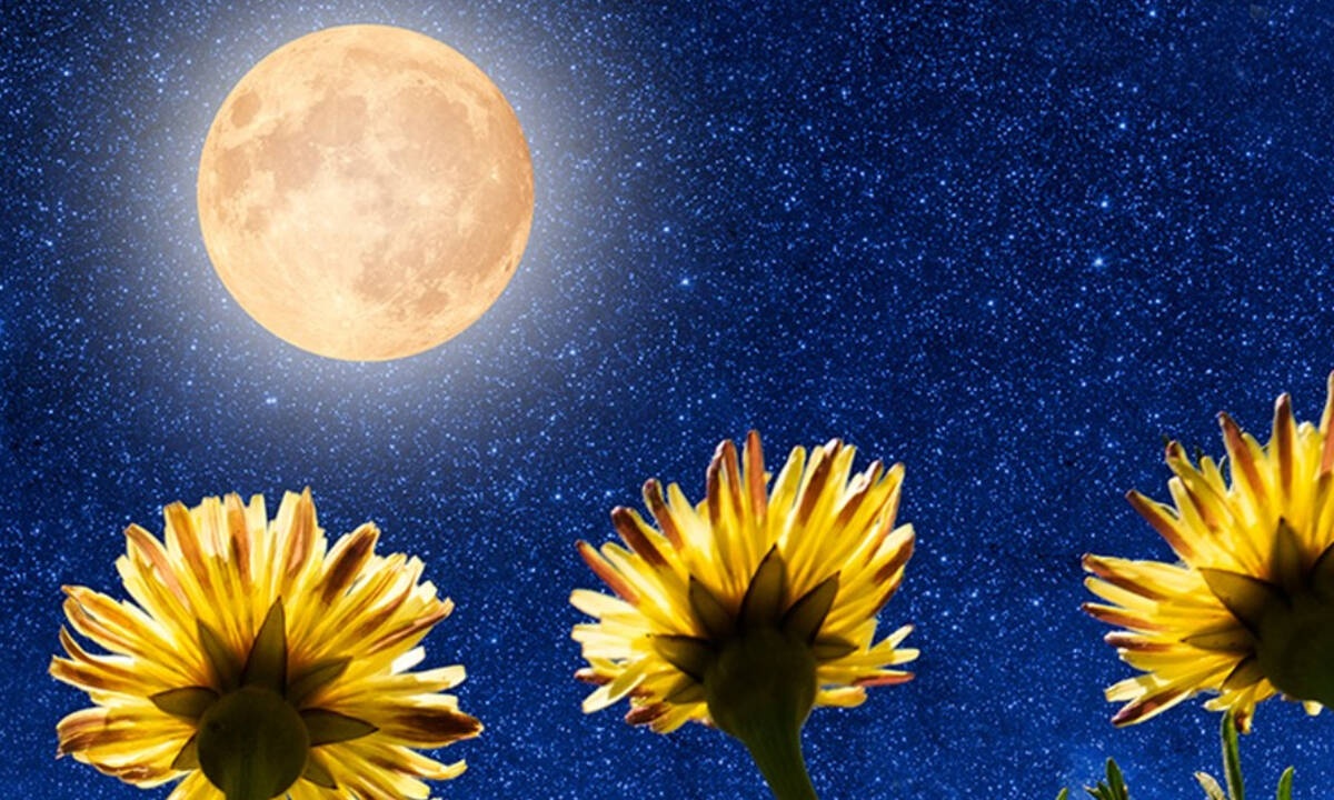 Υπερπανσέληνος Μαΐου στον Σκορπιό: Με κάθε επιφύλαξη...