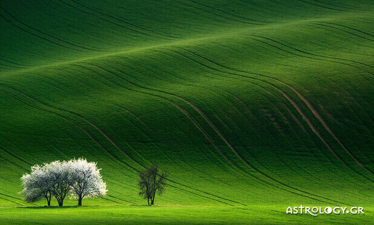 Διάβασε ΔΩΡΕΑΝ την προσωπική σου πρόβλεψη, για σήμερα 05/05/2020