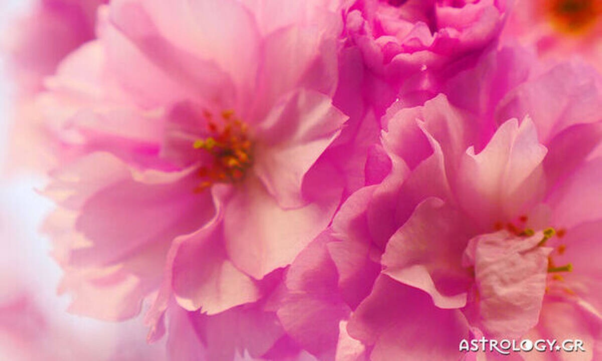 Διάβασε ΔΩΡΕΑΝ την προσωπική σου πρόβλεψη, για σήμερα 07/05/2020