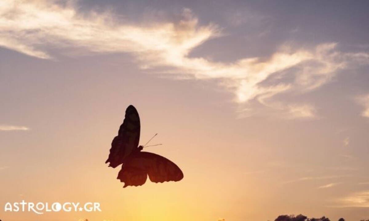 Σήμερα 15/05: Προς μια αναγεννητική πορεία