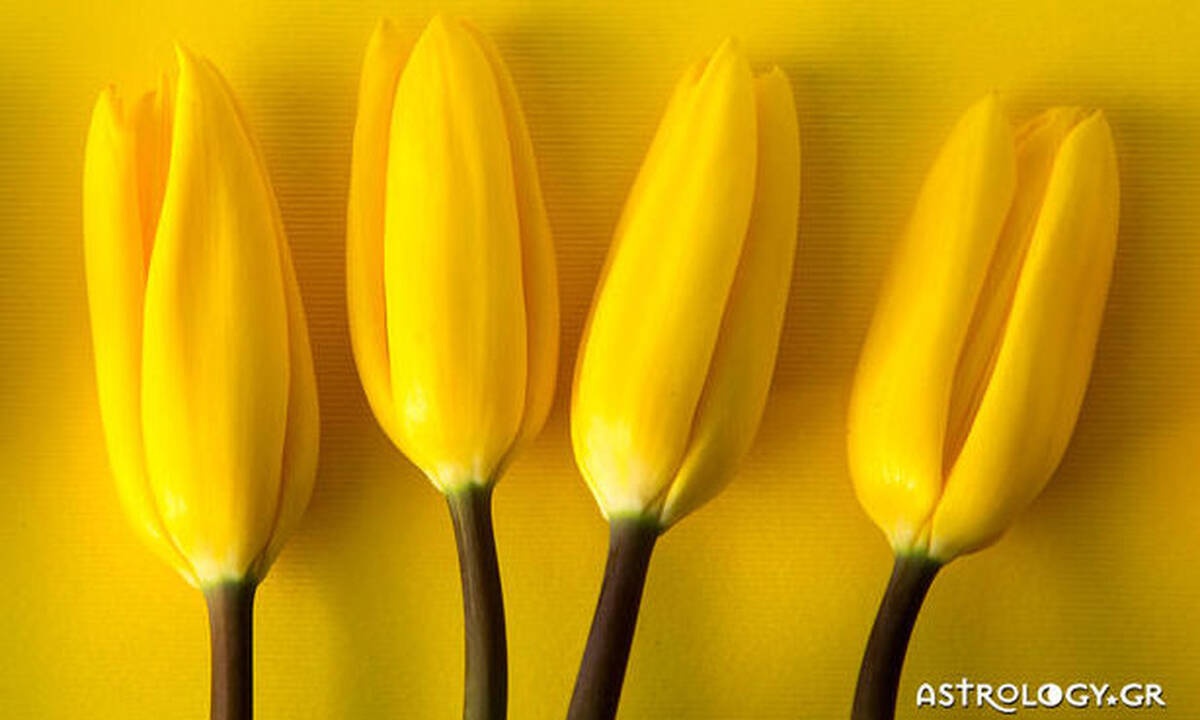 Ημερήσιες Προβλέψεις για όλα τα Ζώδια 11/05