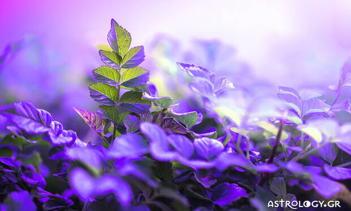 Διάβασε ΔΩΡΕΑΝ την προσωπική σου πρόβλεψη, για σήμερα 10/05/2020