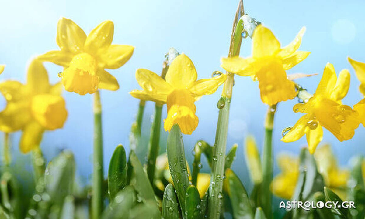 Διάβασε ΔΩΡΕΑΝ την προσωπική σου πρόβλεψη, για σήμερα 12/05/2020