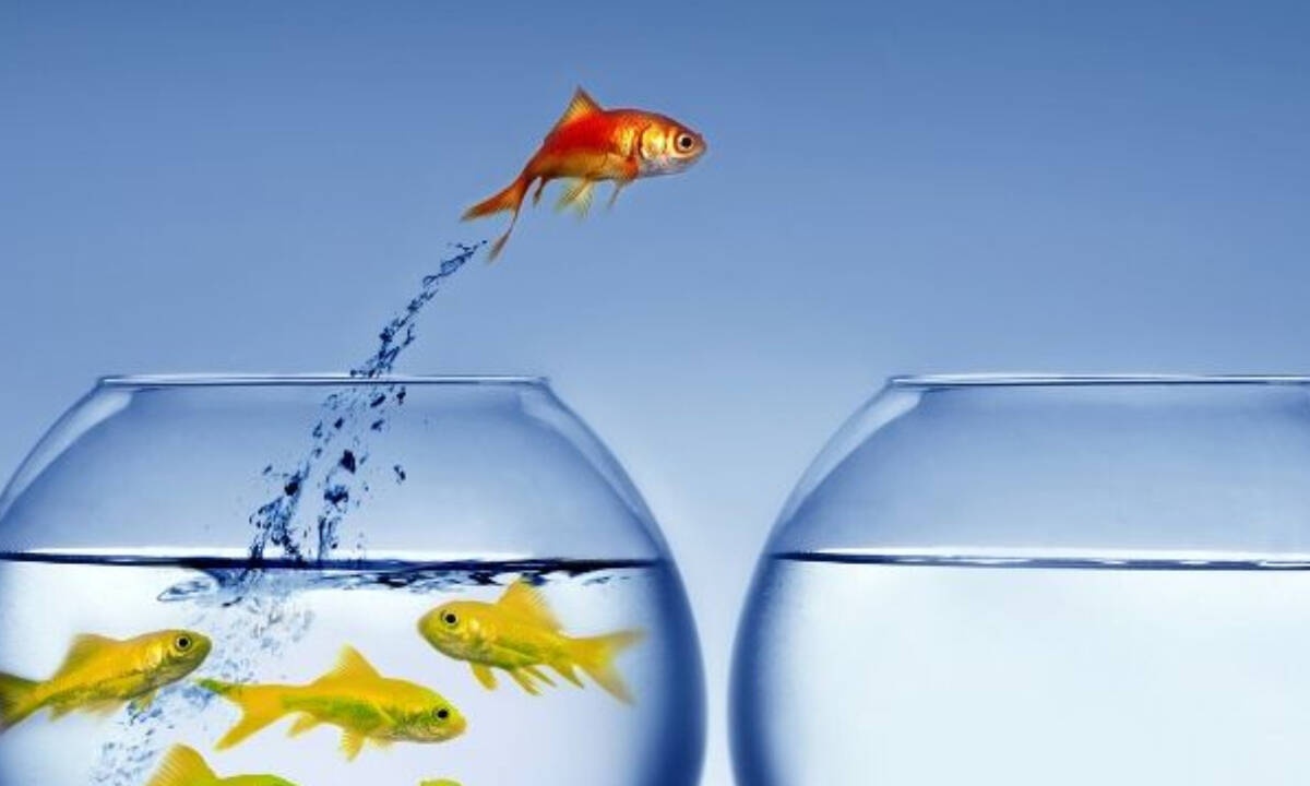 Σήμερα 13/05: Μανούβρες και ελιγμοί!