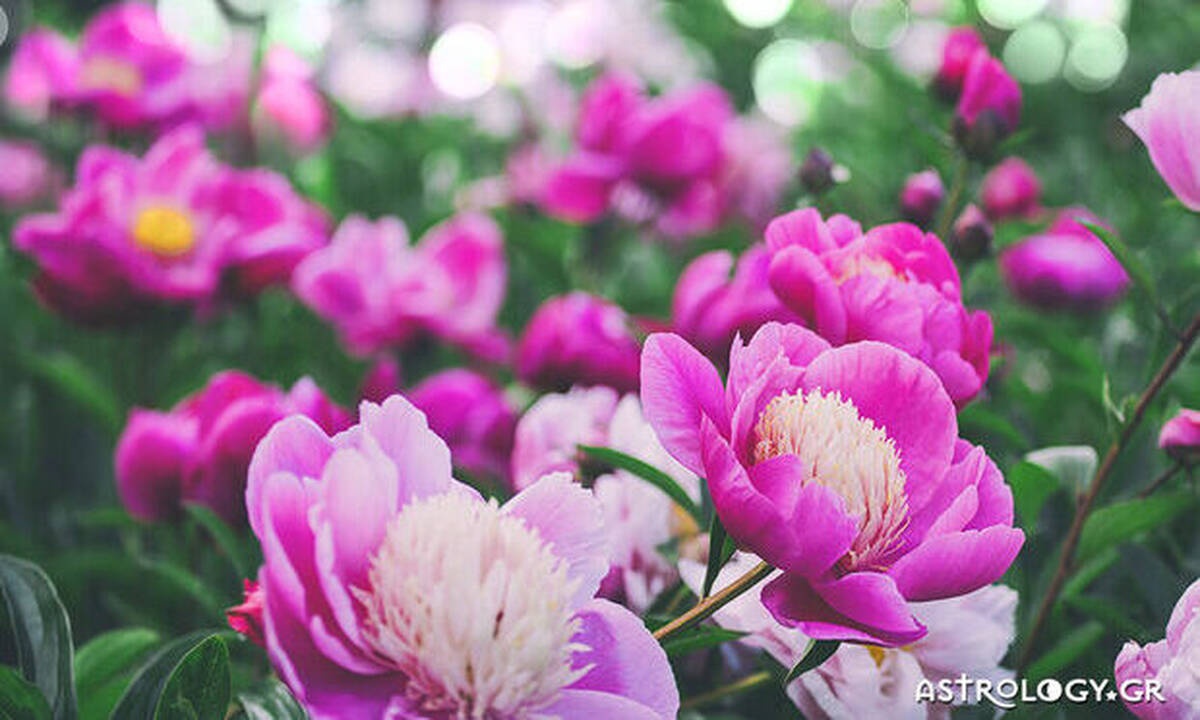 Διάβασε ΔΩΡΕΑΝ την προσωπική σου πρόβλεψη, για σήμερα 18/05/2020