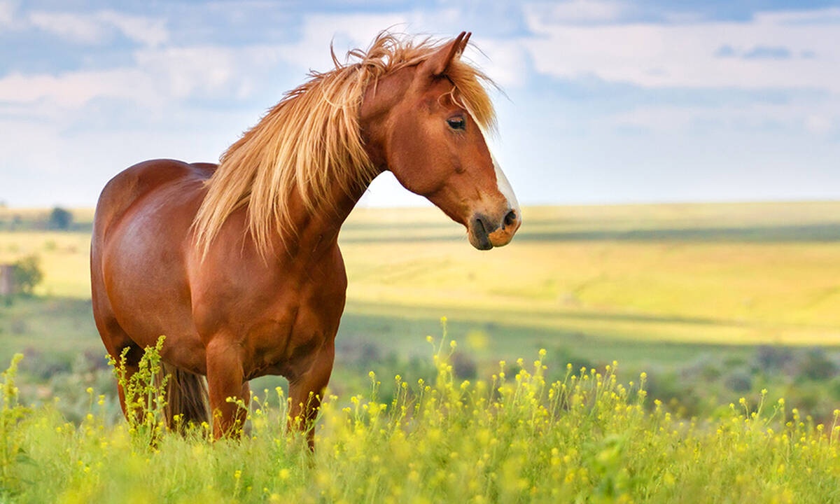 Διάβασε ΔΩΡΕΑΝ την προσωπική σου πρόβλεψη, για σήμερα 19/05/2020