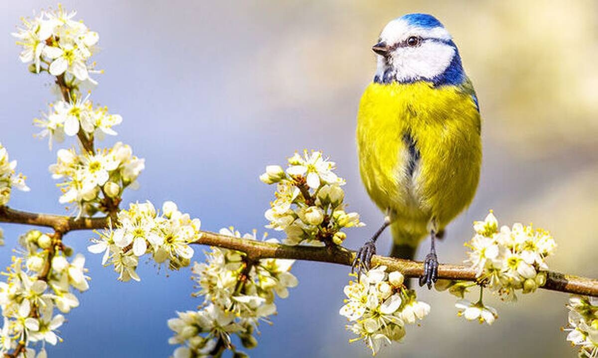 Διάβασε ΔΩΡΕΑΝ την προσωπική σου πρόβλεψη, για σήμερα 27/05/2020