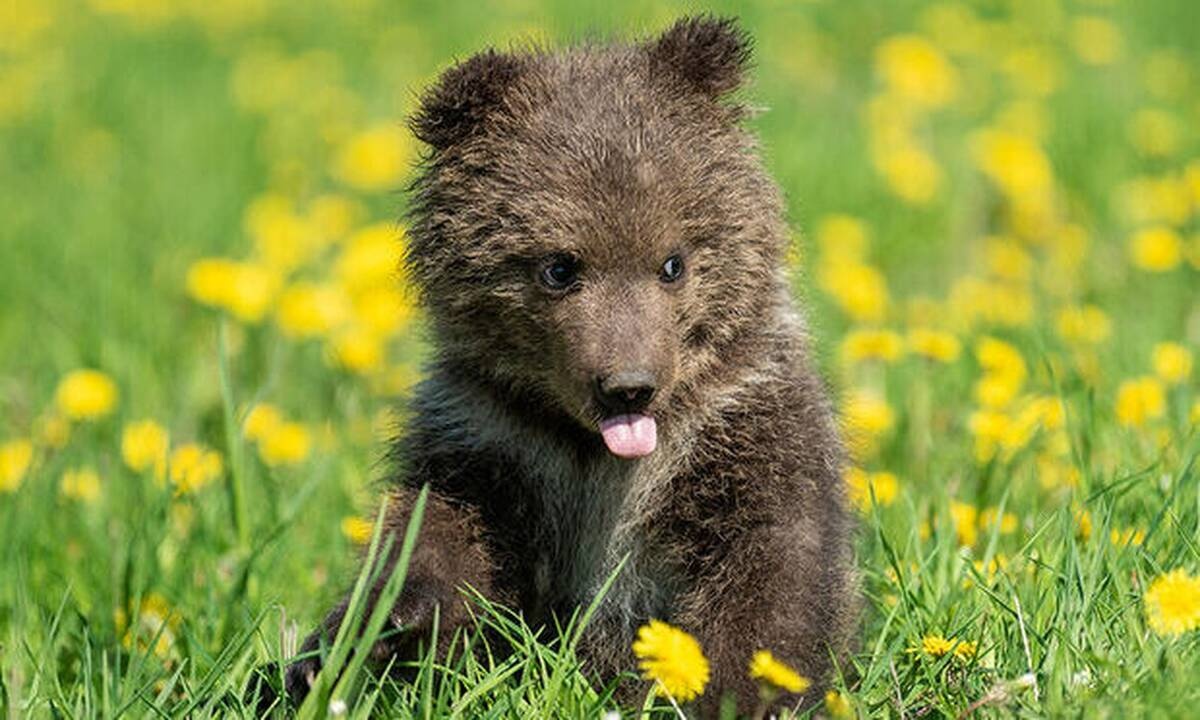 Διάβασε ΔΩΡΕΑΝ την προσωπική σου πρόβλεψη, για σήμερα 29/05/2020