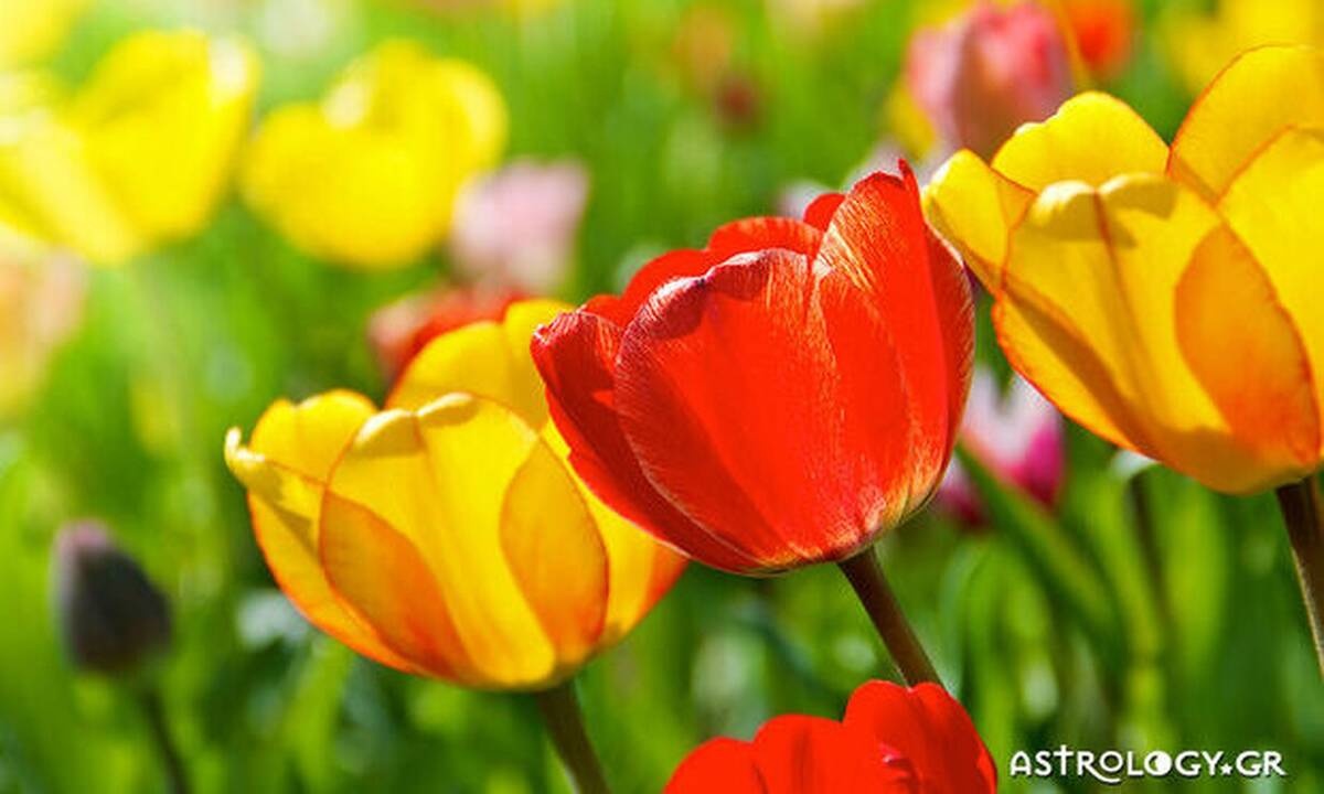 Διάβασε ΔΩΡΕΑΝ την προσωπική σου πρόβλεψη, για σήμερα 30/05/2020