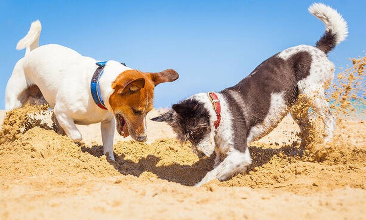 Διάβασε ΔΩΡΕΑΝ την προσωπική σου πρόβλεψη, για σήμερα 01/06/2020