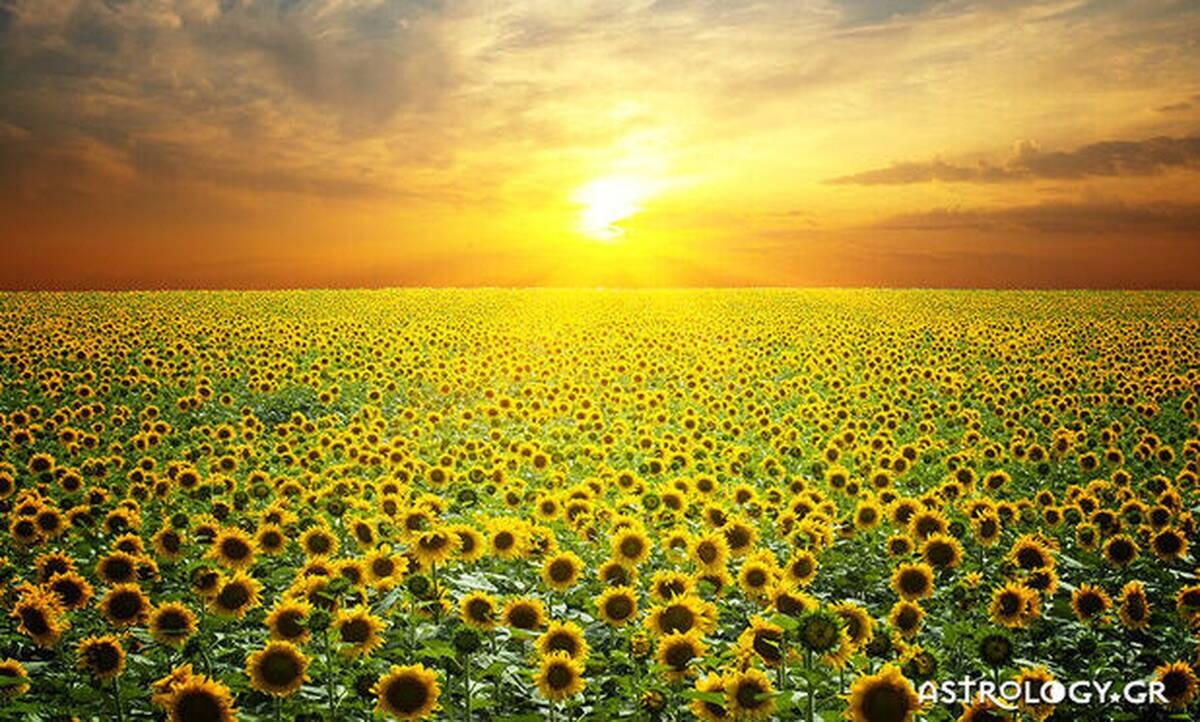 Διάβασε ΔΩΡΕΑΝ την προσωπική σου πρόβλεψη, για σήμερα 04/06/2020