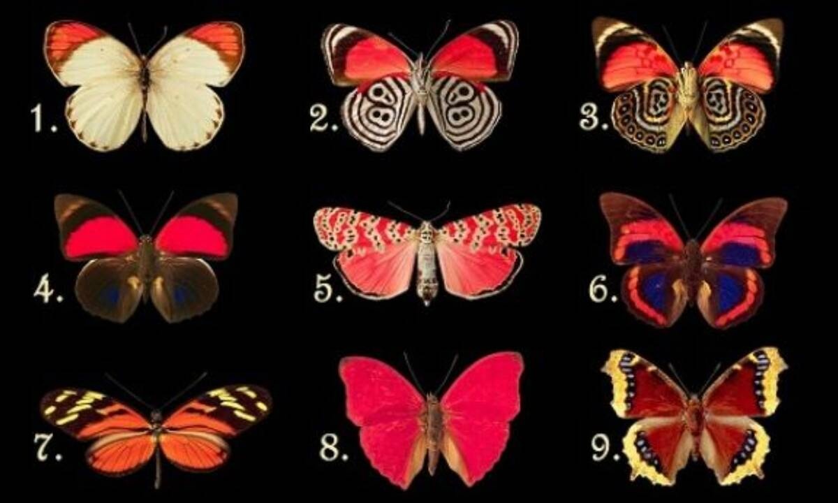 Διάλεξε 1 από τα 9 πεταλούδες και δες τι κρύβεται στην ψυχή σου!