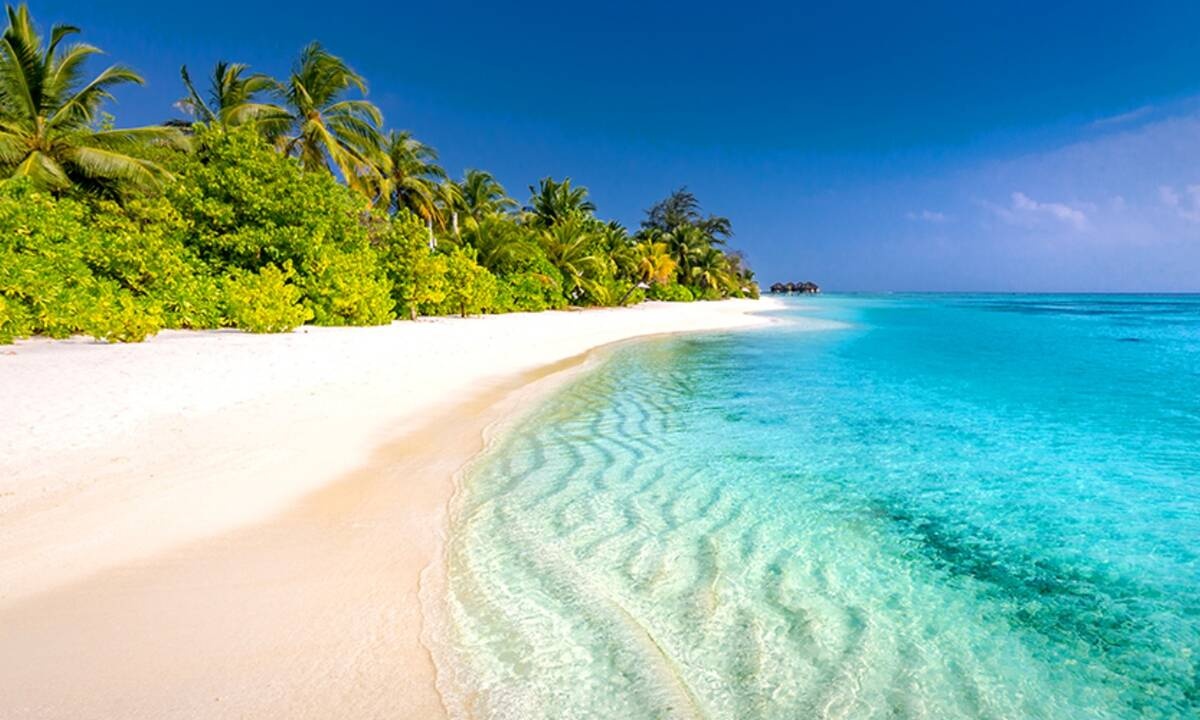 Διάβασε ΔΩΡΕΑΝ την προσωπική σου πρόβλεψη, για σήμερα 11/07/2020