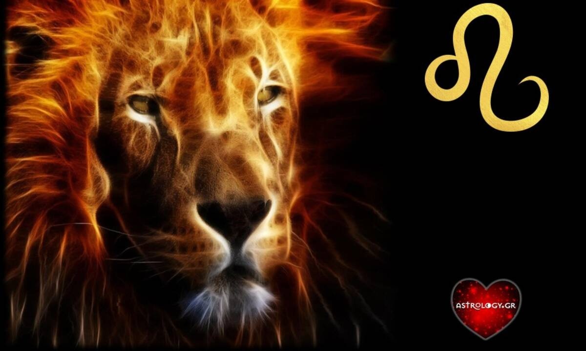 Οι 3 τύποι Λιονταριού: Σίγουρα έχεις συναντήσει έναν από όλους!