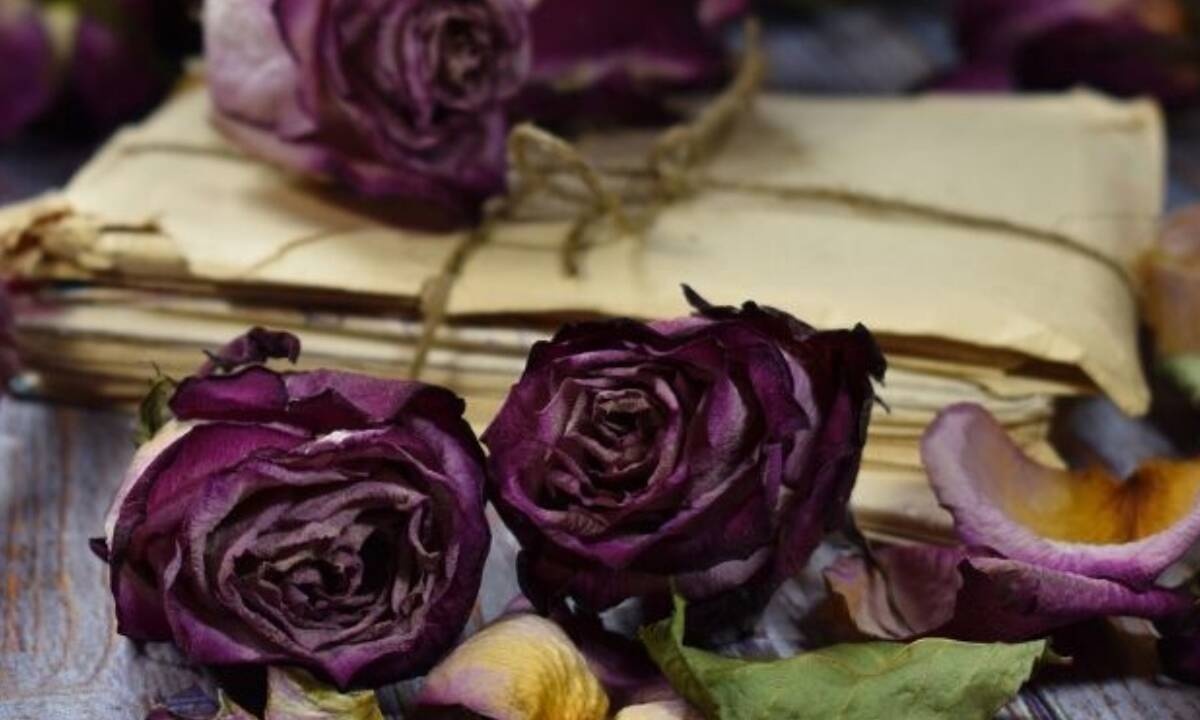 Σήμερα 19/07: Ζήσε το «σήμερα» γιατί αύριο θα είναι «χθες»